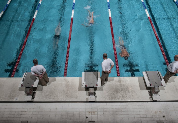 Volunteer Spotlight Mark Amodio Professor and Head Officials Chair