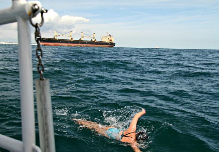 5 Major Differences Between Open Water Swimming and Pool Swimming