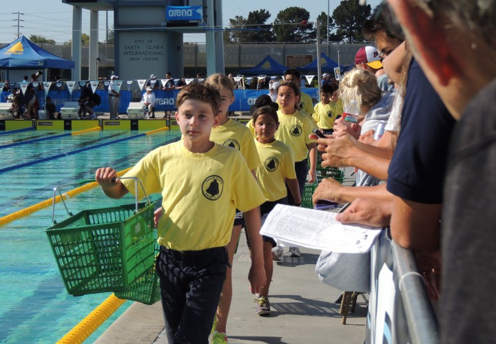 37 Thoughts of Kid Basket Carriers