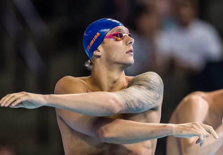 USA Swimming Introduces 2016 Olympic Team Caeleb Dressel