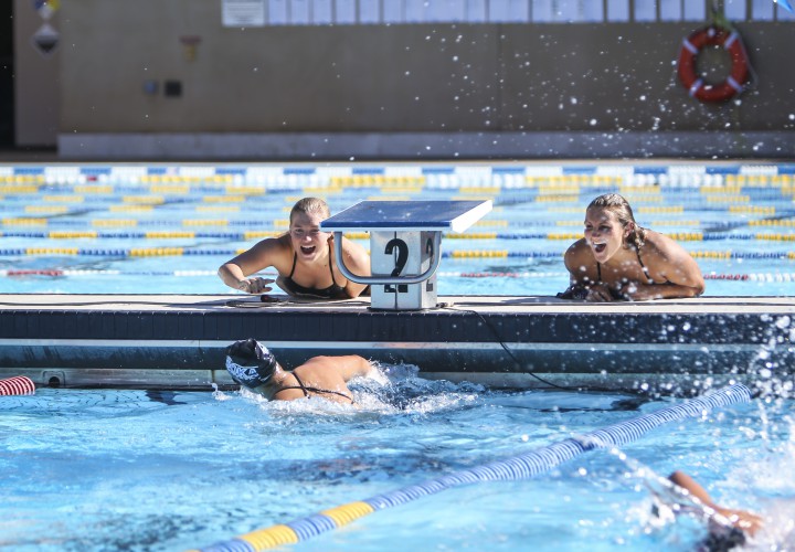 Finding Sanctuary in the Pool