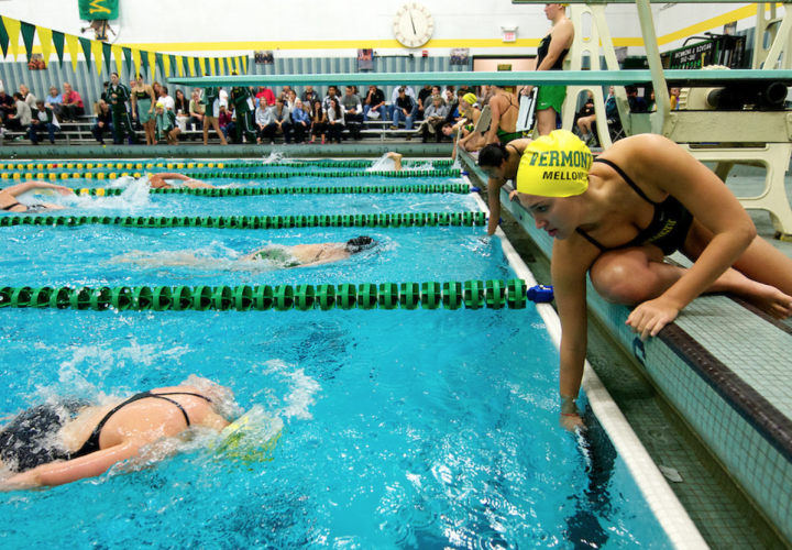 29 Confessions of a Distance Swimmer