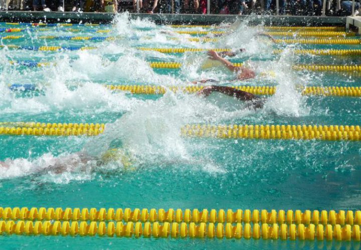 Danielle Hippe Transferring to Colorado State