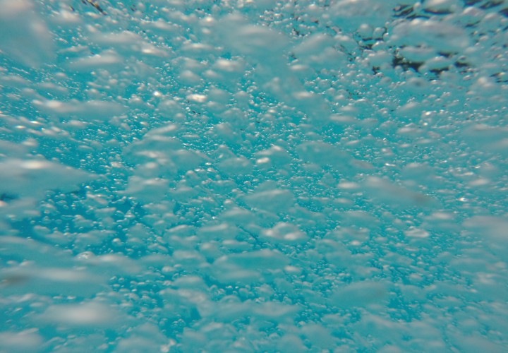 Pitchfork Aquatics Hires Fernando Canales Mona E MyheimCanalas as Head Coaching Team