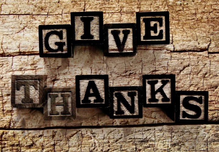 11 Elite Divers And Coaches Take Time to Give Thanks