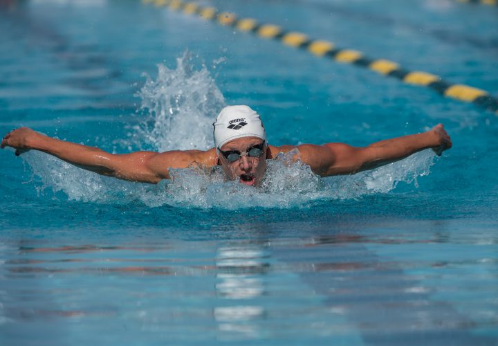 Katinka Hosszu Laszlo Cseh Lead 29 Already On Hungarian Olympic Roster