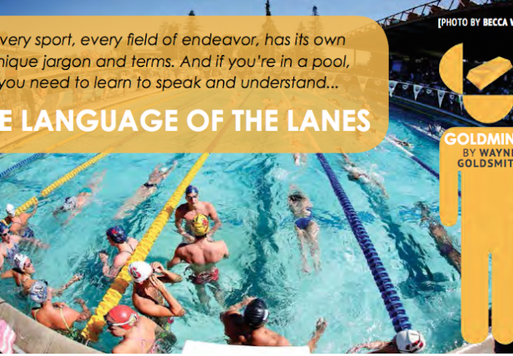 Goldminds The Language of the Lanes