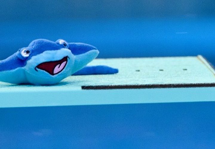 2016 European Championships Day 7 Prelims Live Recap