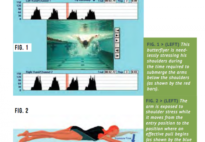Swimming Technique Misconceptions Swim Through The Pain