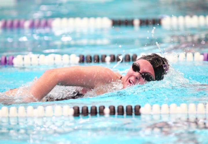 NYU Posts Strong Swims In Home Invite