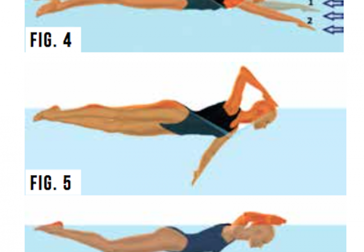 Swimming Technique Misconceptions Arm Entry