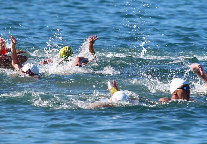 6 Thoughts of A Pool Swimmer In Open Water