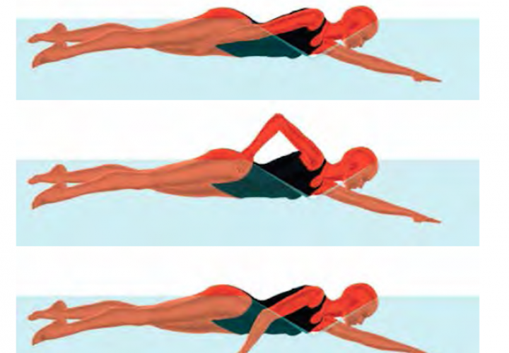 Swimming Technique Misconceptions Arm Coordination