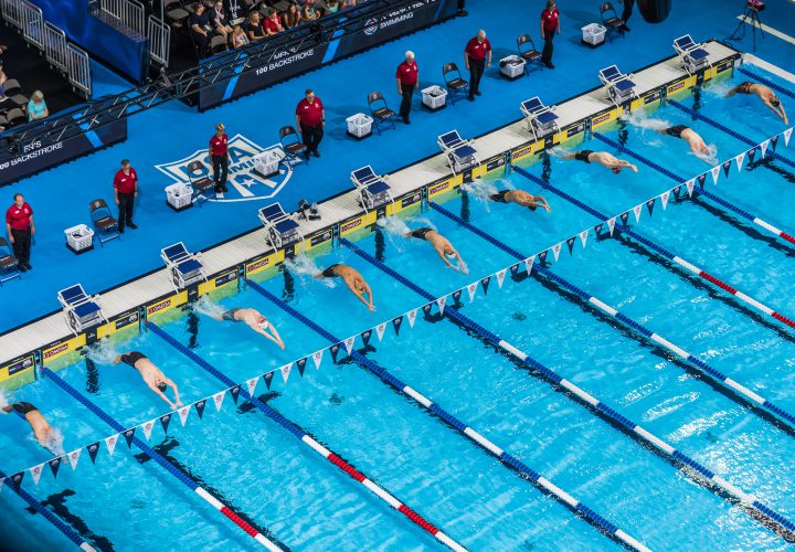 Swimming With The Sharks A First Timers Perspective